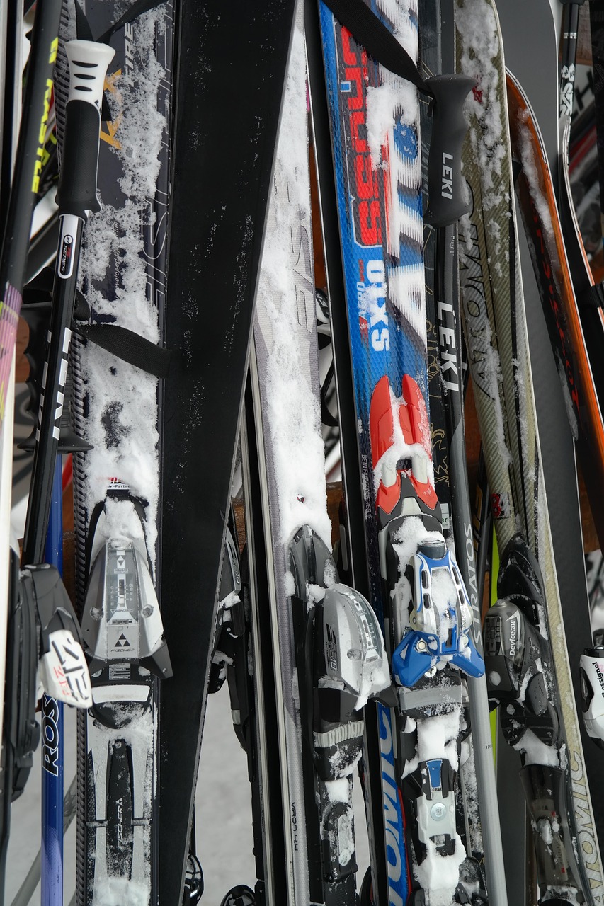 ski, ski equipment, ski poles, to ski, winter, winter sports